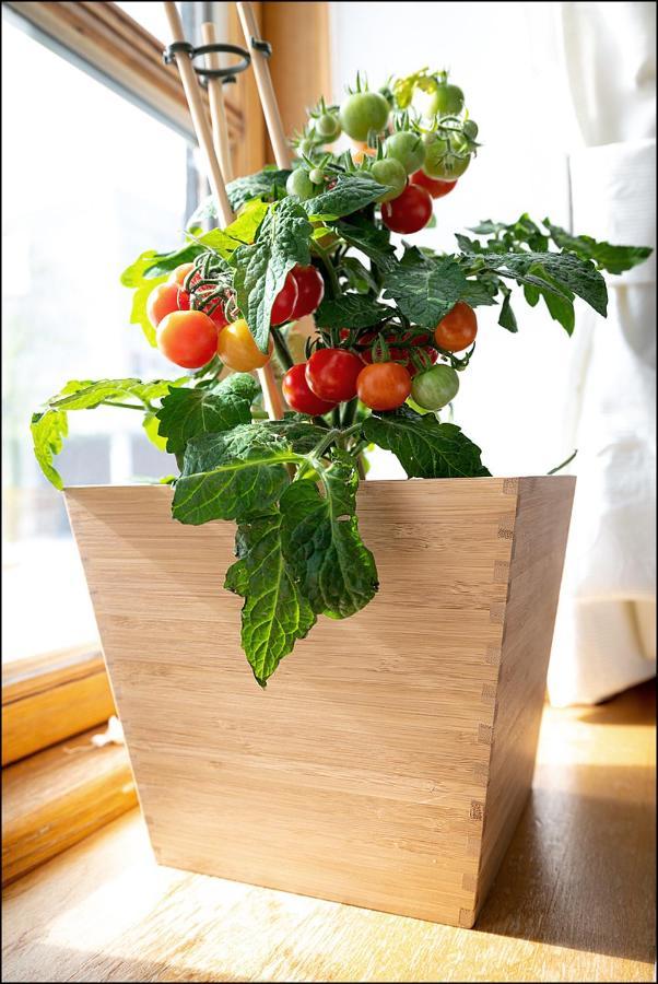 Markt Eins Gaestezimmer Schoppenstedt Luaran gambar
